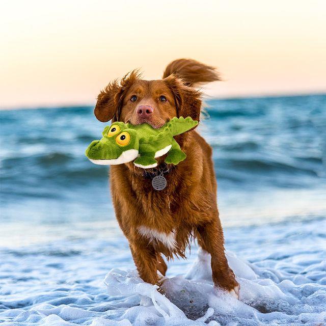 Afp 犬用玩具超音波系列 音訊鱷魚